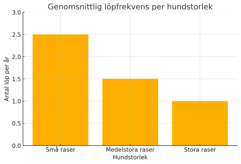 Hur länge löper en hund?
